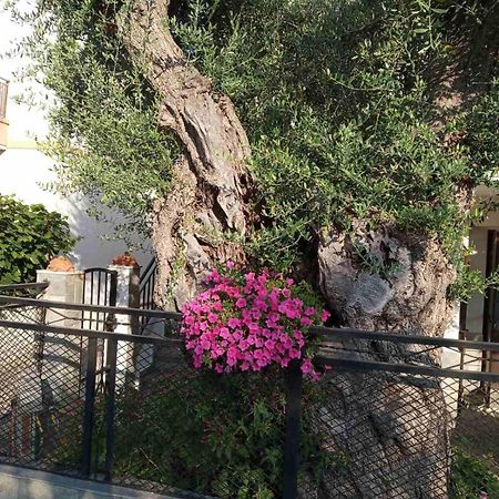 Aegean Balcony Villa Skala Kallirakhis Luaran gambar