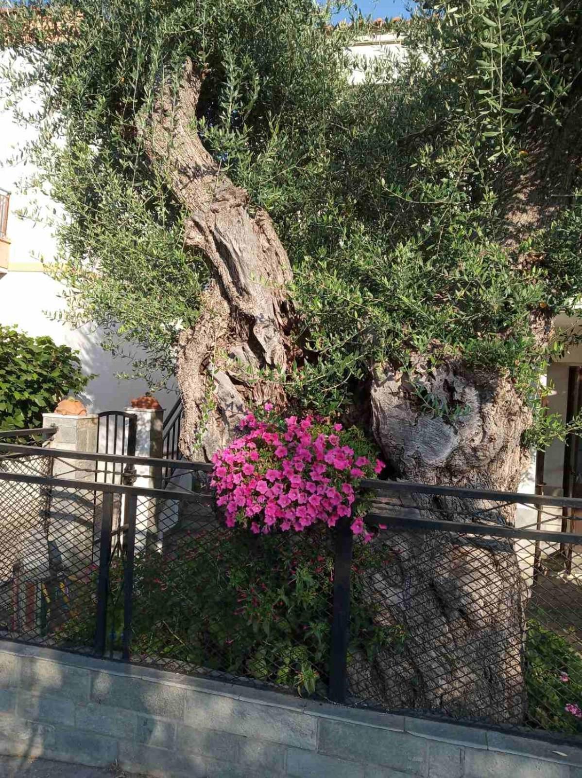 Aegean Balcony Villa Skala Kallirakhis Luaran gambar
